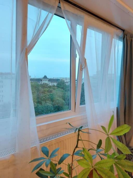 Sweet Dreams Suites Cismigiu Studio Βουκουρέστι Εξωτερικό φωτογραφία